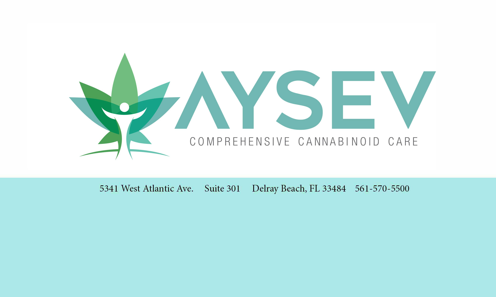 AYSEV, LLC